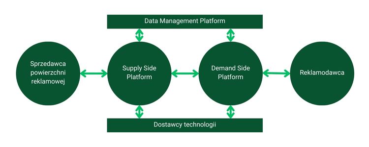 ekosystem programmatic